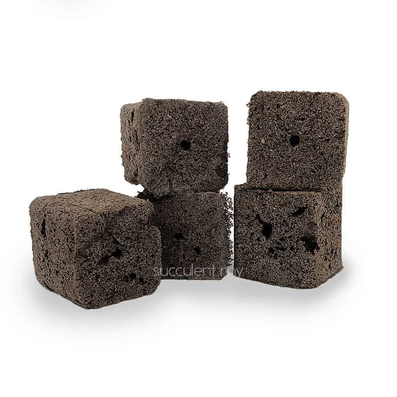 Succulent and Cactus Soil Cube [5 pcs]